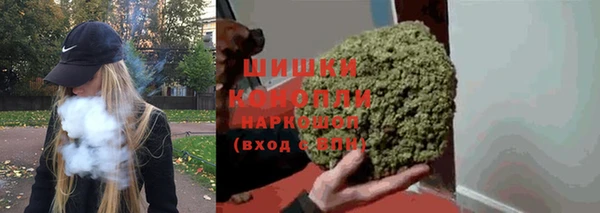 ECSTASY Богородицк